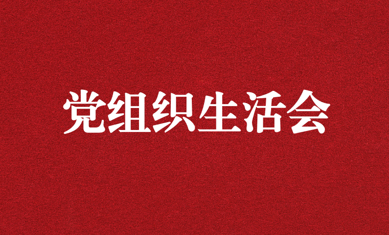 認真檢視突出問題 落細落小抓好整改 ---天晟源環(huán)保黨支部召開主題教育專題組織生活會